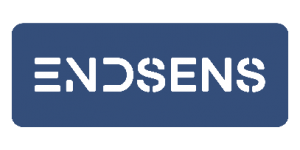 Endsens